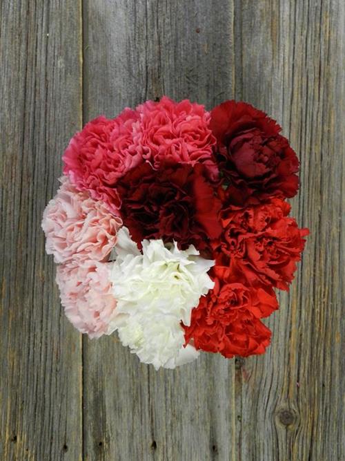 VALENTINE`S DAY PACK ASSORTED PINK, RED WHITE  CARNATIONS